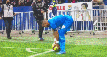 博彩公司宠物友好办公室政策